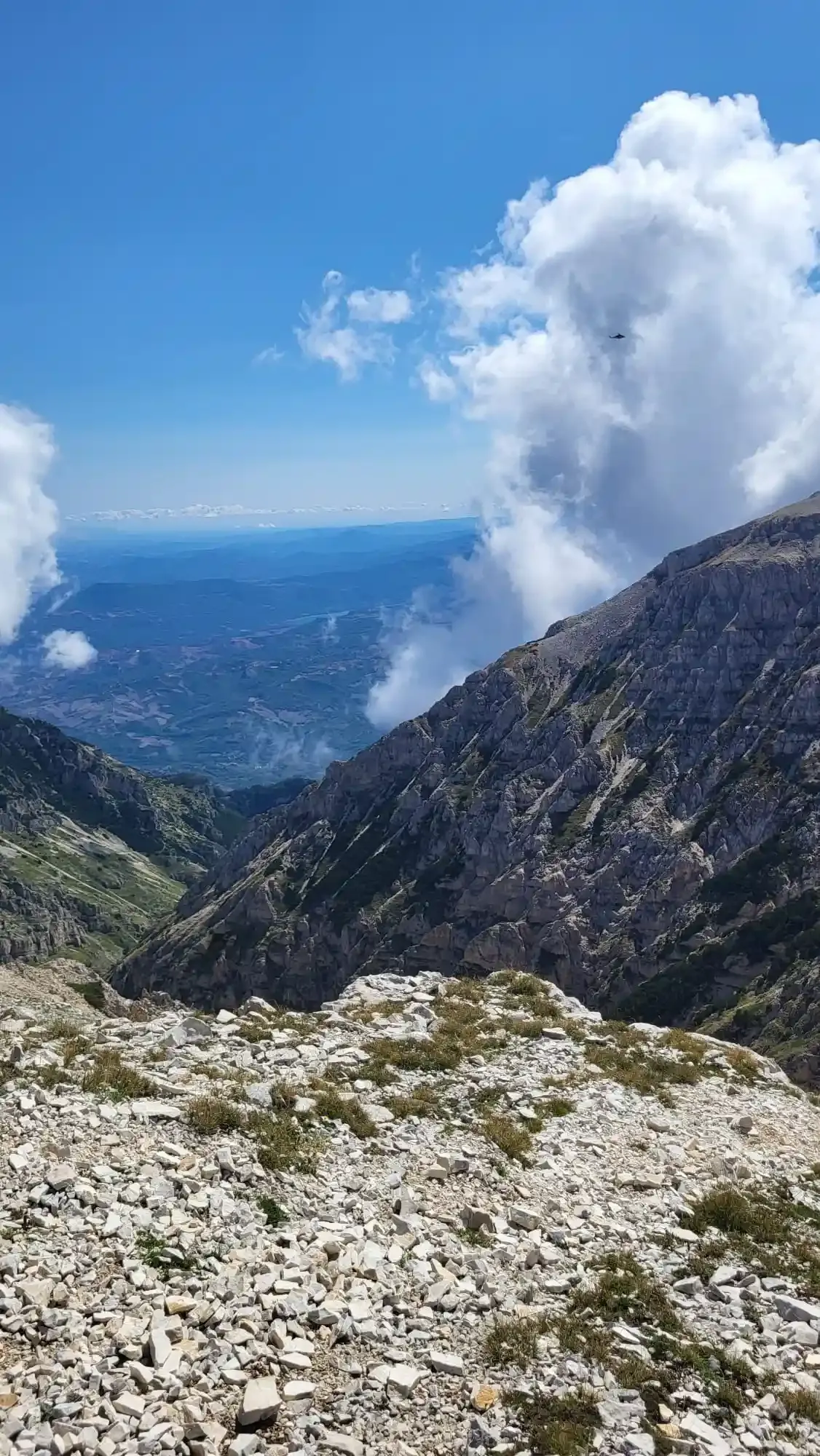 Cima delle Murelle, tra creste rocciose e fauna della Maiella
