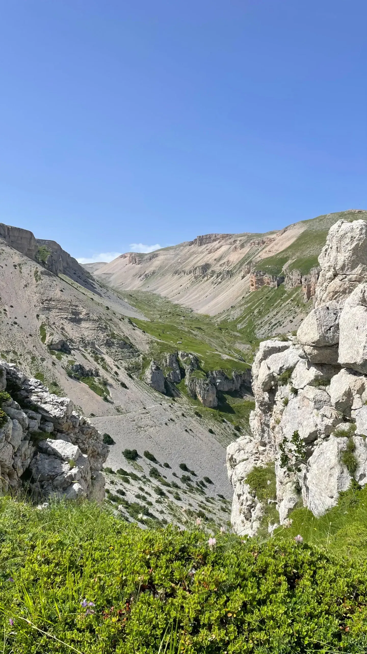 Valle di Taranta Peligna: guida completa tra natura, fauna e trekking nella Maiella